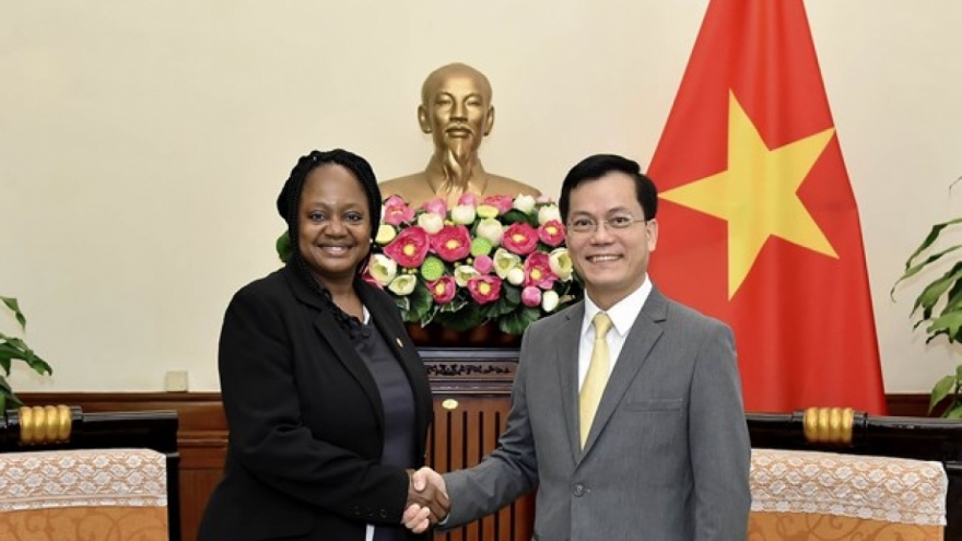 Vietnam ready to promote comprehensive partnership with US